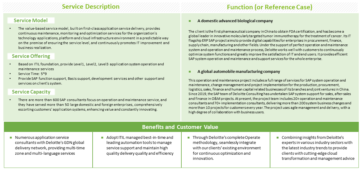 Application Managed Services (SAP, Oracle, Technology Strategy & Transformation)